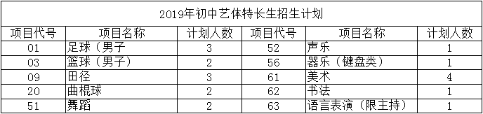 華陽中學(xué)2019年特長(zhǎng)生計(jì)劃