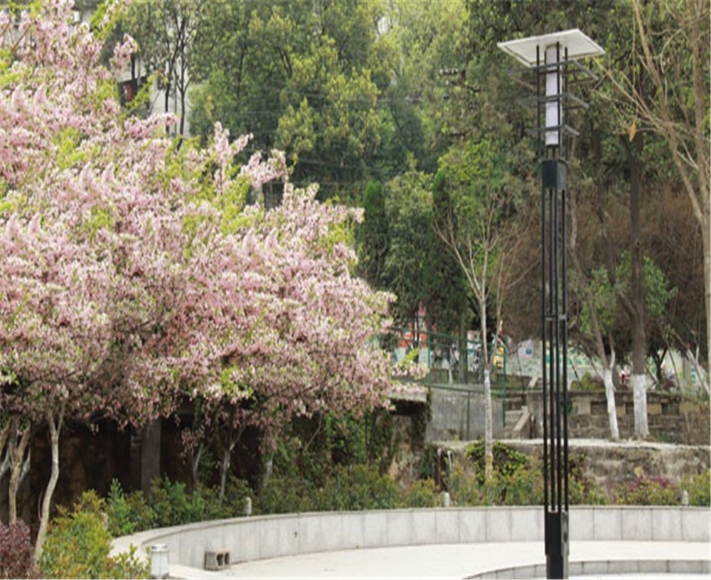 廣元實驗中學學校招辦電話是多少？