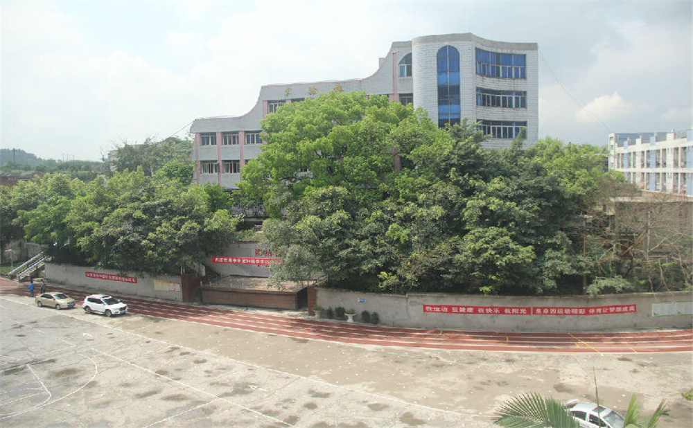 內(nèi)江鐵路中學(xué)學(xué)校環(huán)境怎么樣？