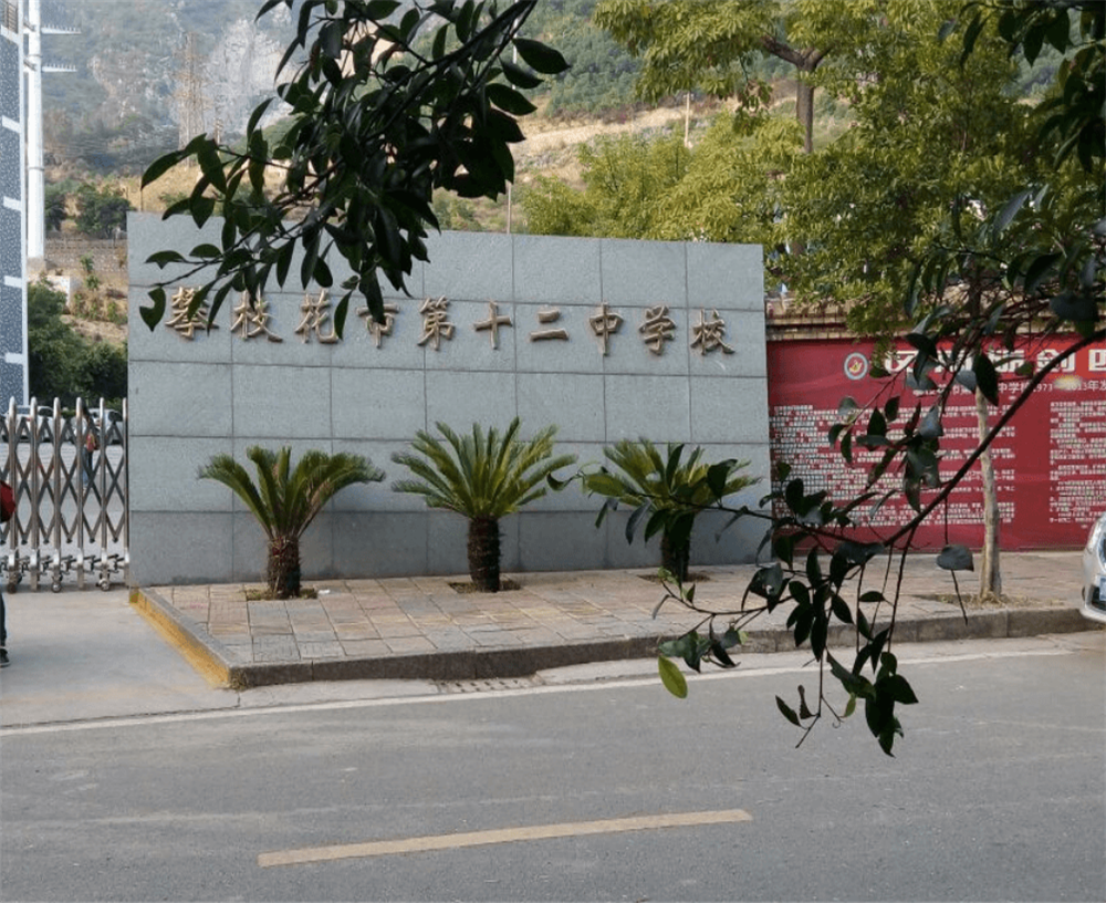 攀枝花市第十二中學校2020年招生簡章在哪兒看？