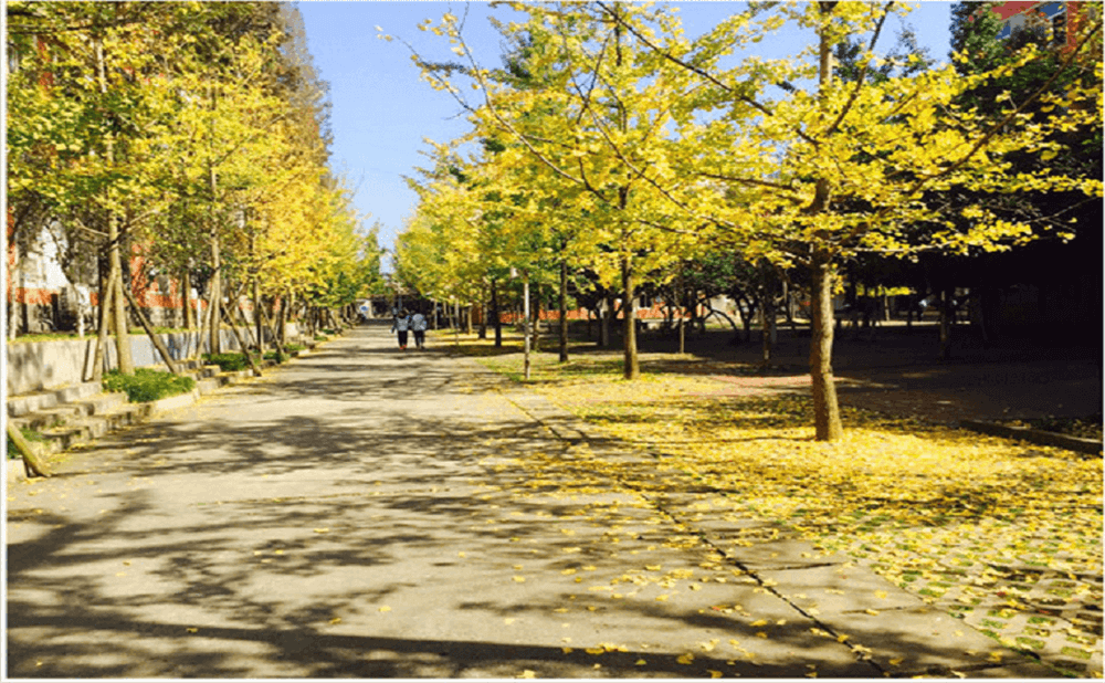 大邑中學(xué)2020年招生標準在哪兒看？