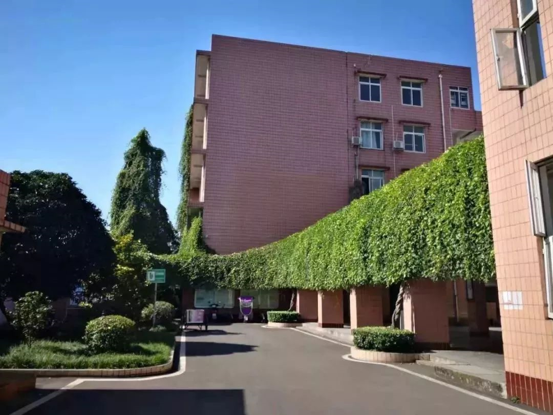 成都三十六中的本科升學(xué)率在哪兒看？