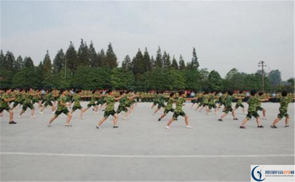 香城中學(xué)高一分班嗎？