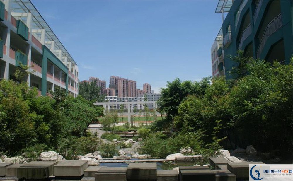 四川師范大學(xué)實驗外國語學(xué)校2020年保送清華北大的人數(shù)？