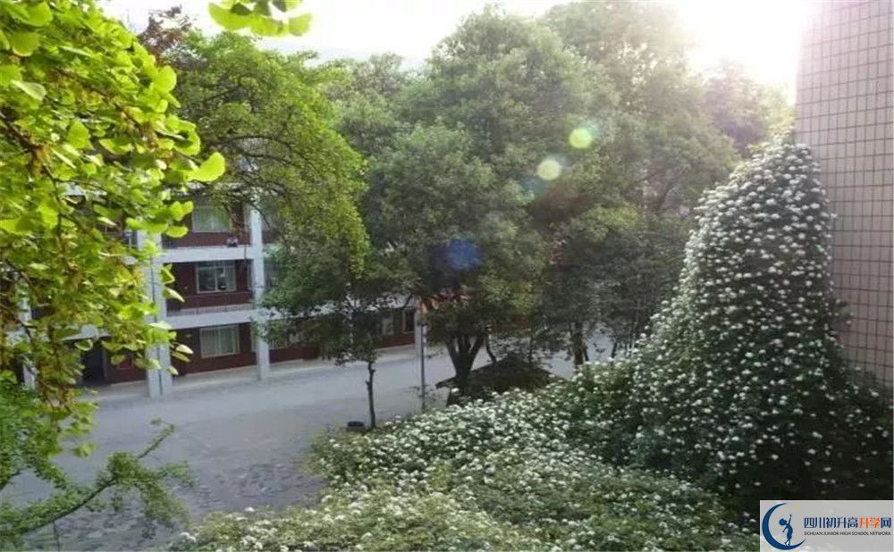 成都市石室聯(lián)中蜀華分校2020年保送清華北大的人數(shù)是多少？
