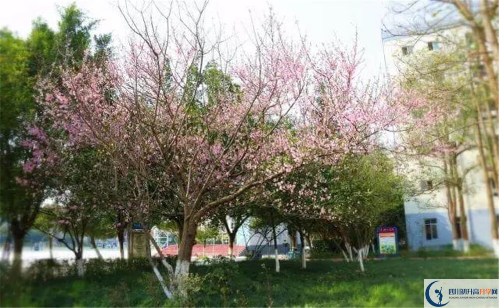 遂寧中學(xué)外國(guó)語(yǔ)實(shí)驗(yàn)學(xué)校今年的錄取條件是否有變化？