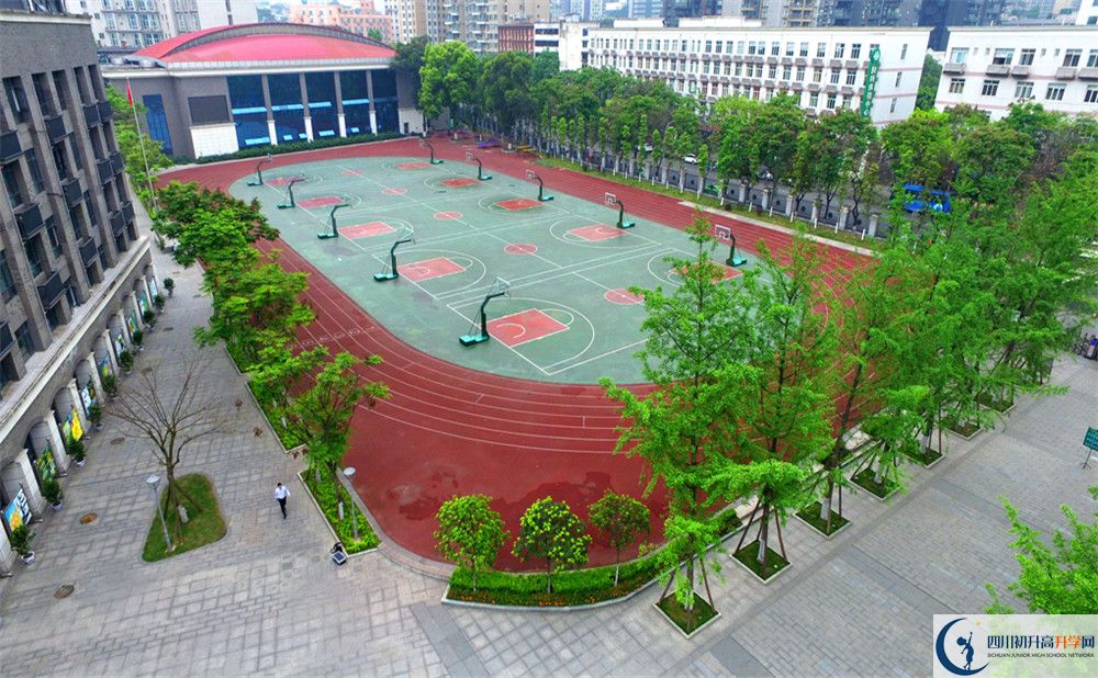 成都樹德中學(xué)國(guó)際部在哪里？