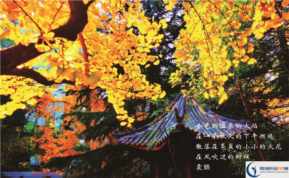 七中高新校區(qū)2020年學(xué)費(fèi)是多少錢？