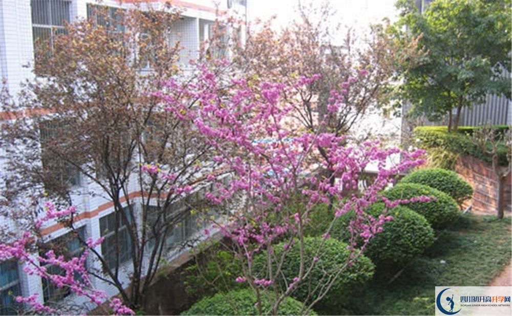 簡(jiǎn)陽三星中學(xué)2020年分?jǐn)?shù)線是多少分？