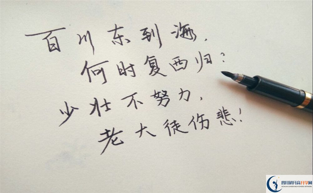 2020年成都市西北中學收費標準是什么？
