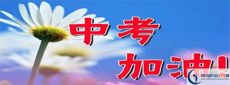 成都實外新都五龍山學(xué)校2021年清華北大人數(shù)是多少？